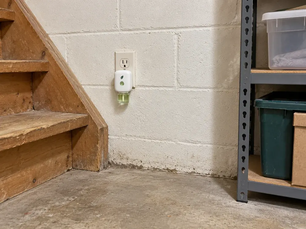 MintKeep plugged in low on a basement wall by the stairs.