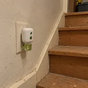 Denise's phone photo: MintKeep plugged in on her basement stair wall.