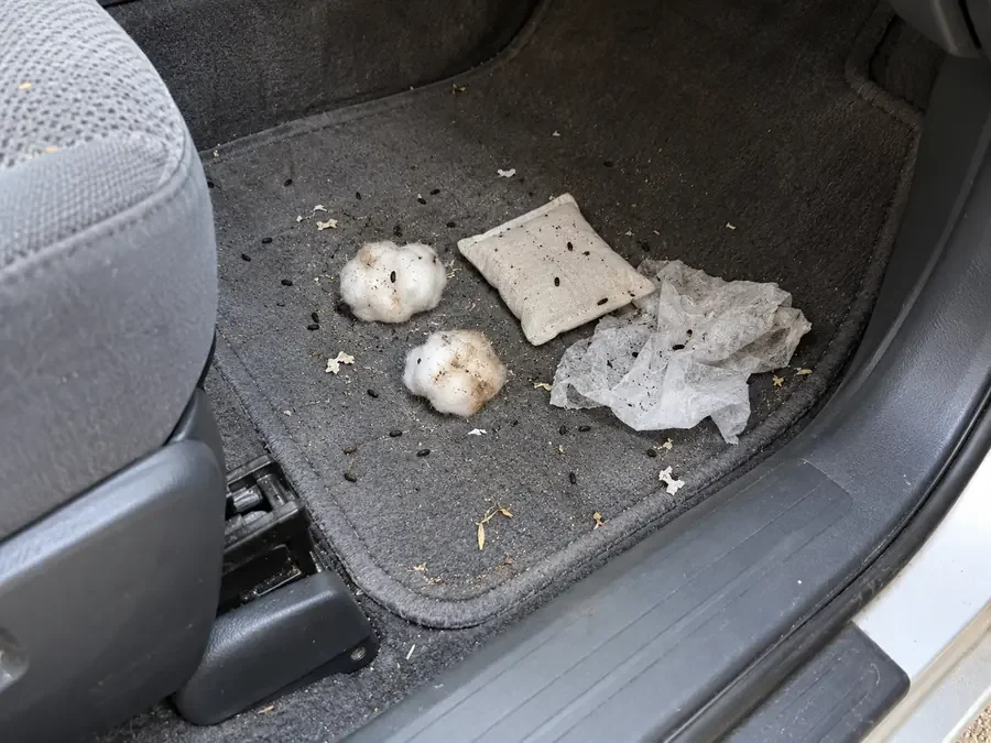 A faded mint bag, two cotton balls and a dryer sheet on a car floor mat, mouse droppings all around them