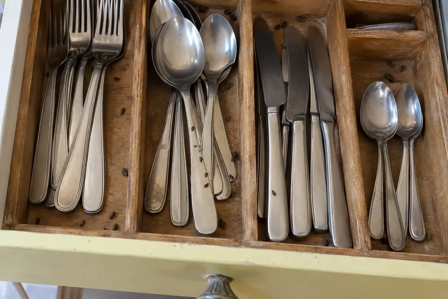 An open silverware drawer in an older kitchen, mouse droppings among the forks and spoons