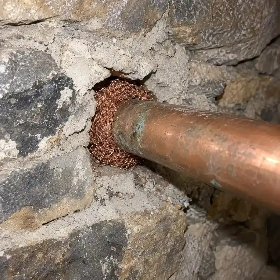 Copper mesh packed into the gap around a pipe where it comes through a stone basement wall