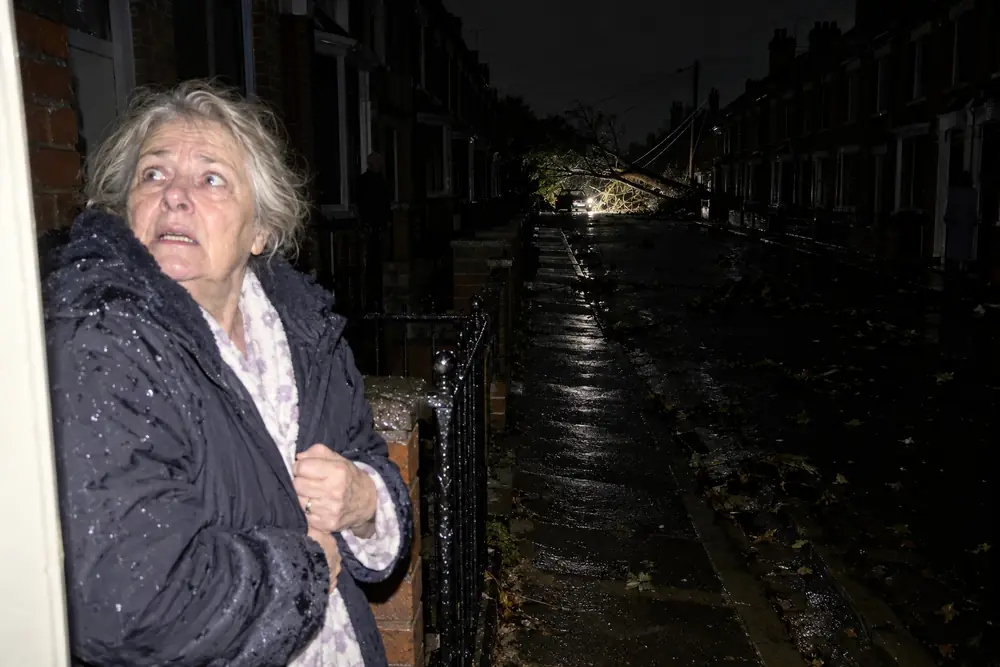 A frightened woman on her doorstep in a power cut, a tree down on the power lines up the street