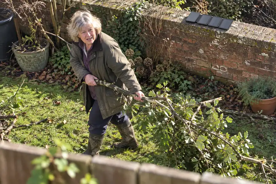 TerraCell open in the sun on the garden wall while she clears storm branches