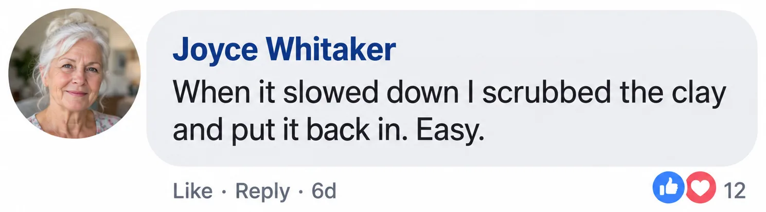 Customer comment from Joyce Whitaker (sample)