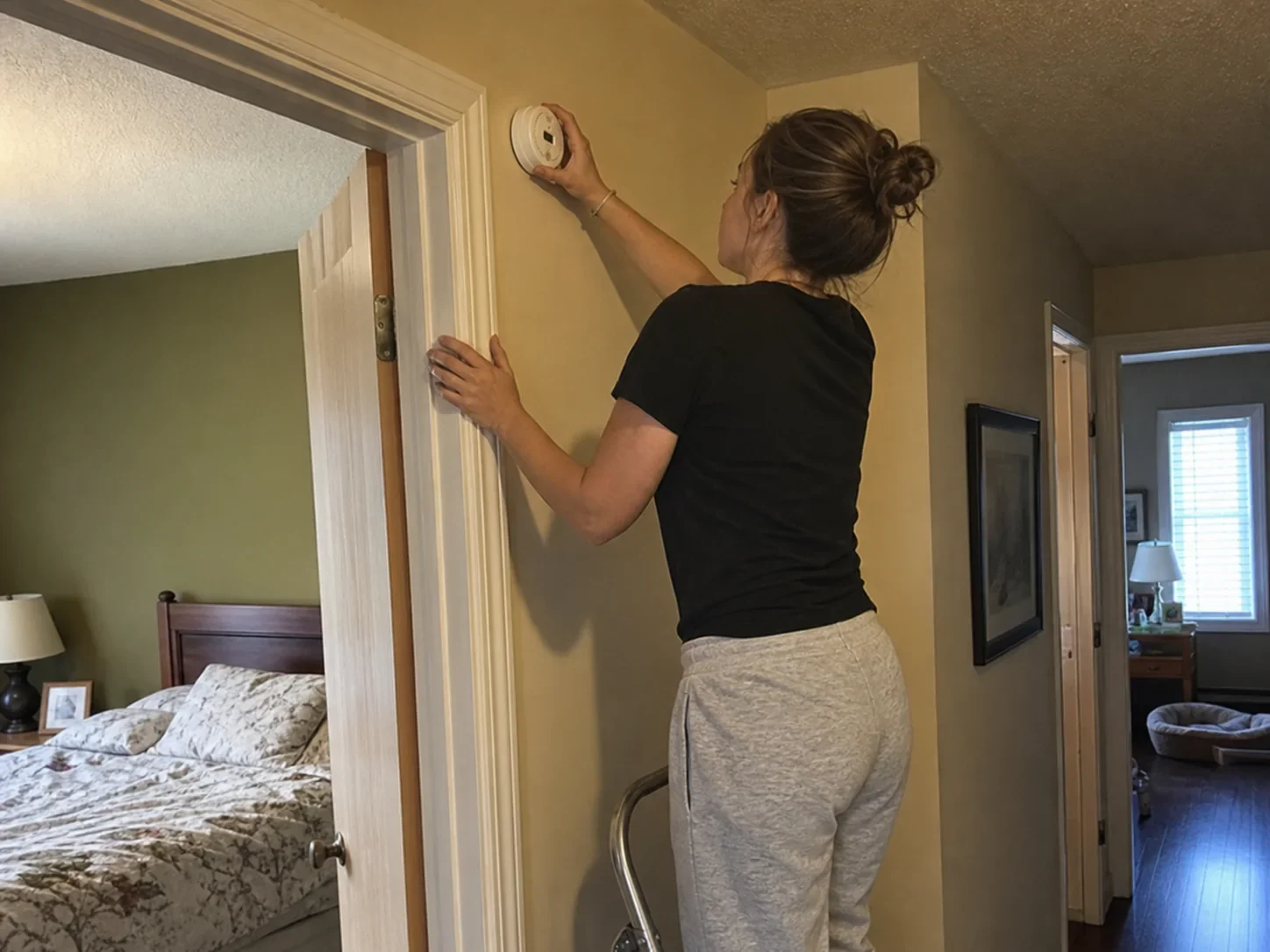 Homeowner installing TerraSentinel near hall